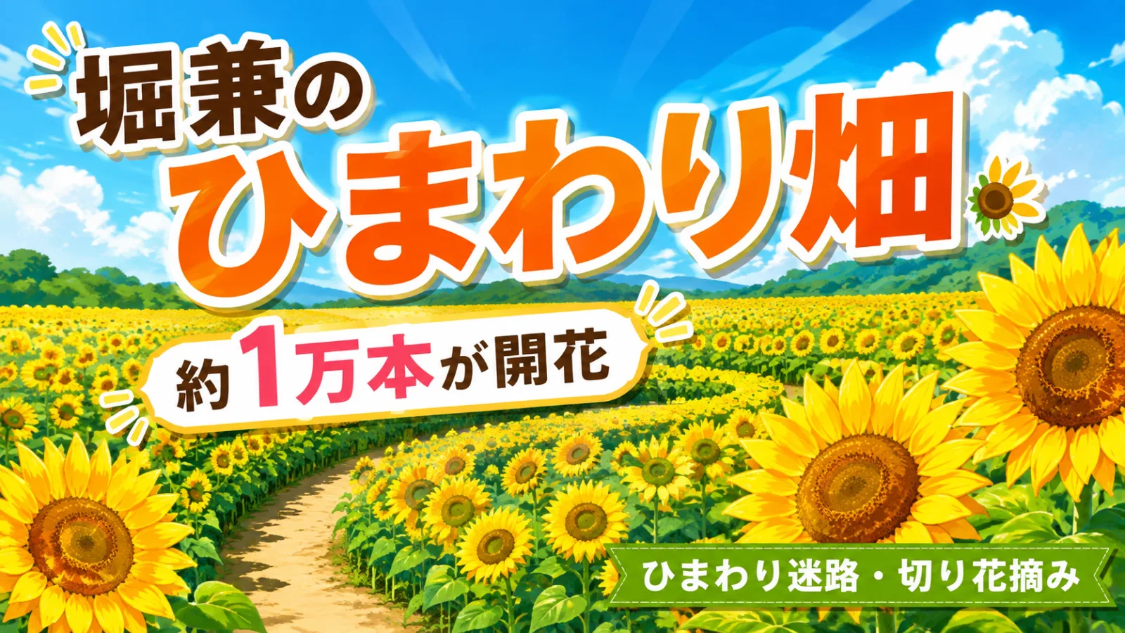 堀兼のひまわり畑2026が見頃!約1万本の迷路・開花状況・アクセス - 入曽駅の写真