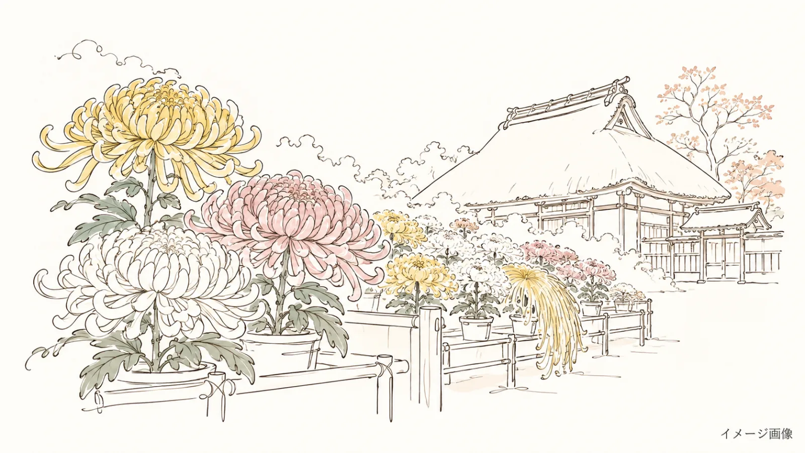 高麗神社「菊花展」2026｜11月1日〜10日開催！重要文化財を彩る菊を無料観賞 - 高麗駅の写真