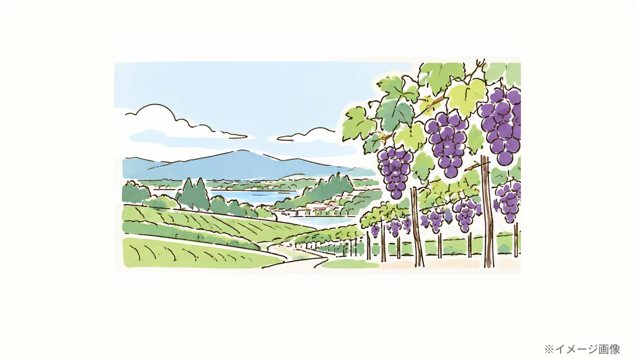 三ヶ島のぶどう園と茶畑