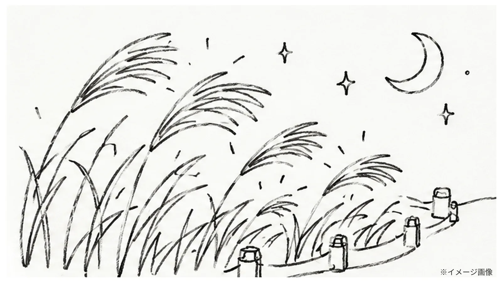 多摩湖・狭山公園「花と光のムーブメント2026」開催！秋のススキが輝く夜の秘密とは？ - 多摩湖駅の写真