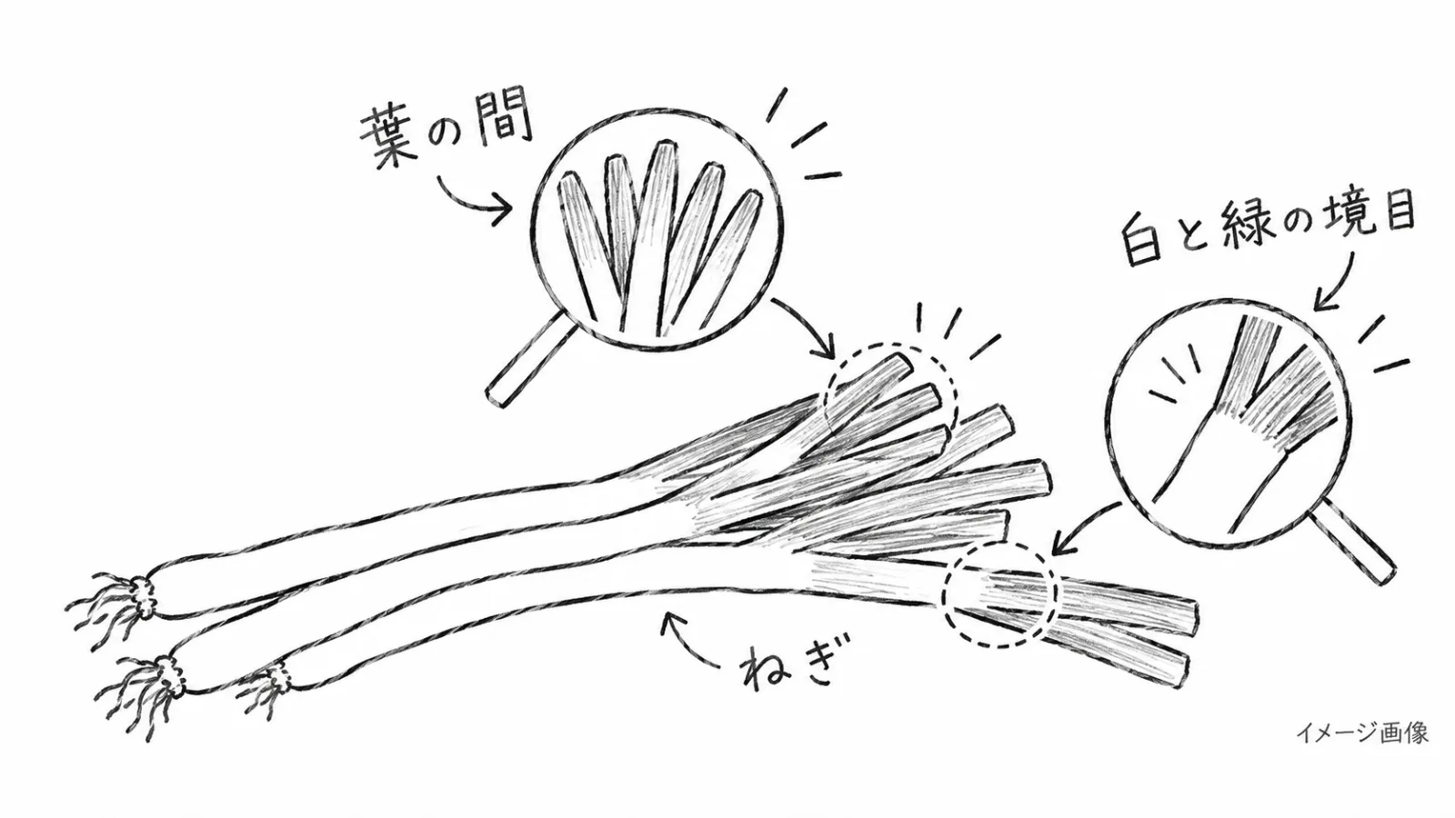 生成画像2