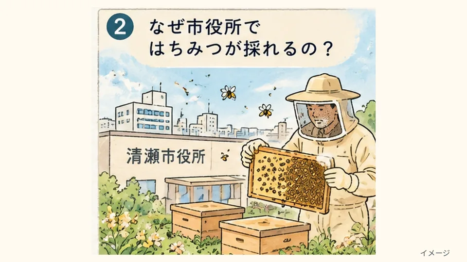 高島屋のジェラートに「清瀬市役所のはちみつ」!?異色のコラボが生まれた理由とは - 清瀬駅の写真