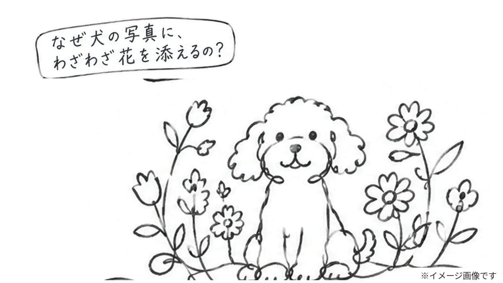 江原町「花と犬写真館」とは?有吉くんの正直さんぽで話題!愛犬と花のアート撮影体験 - 江古田駅の写真