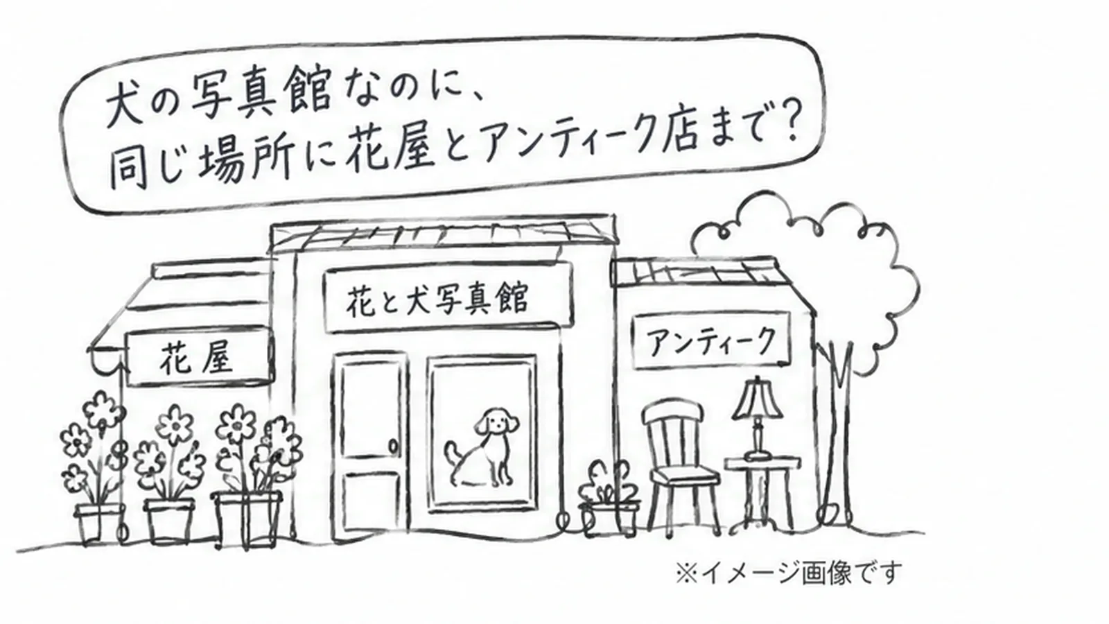 江原町「花と犬写真館」とは?有吉くんの正直さんぽで話題!愛犬と花のアート撮影体験 - 江古田駅の写真