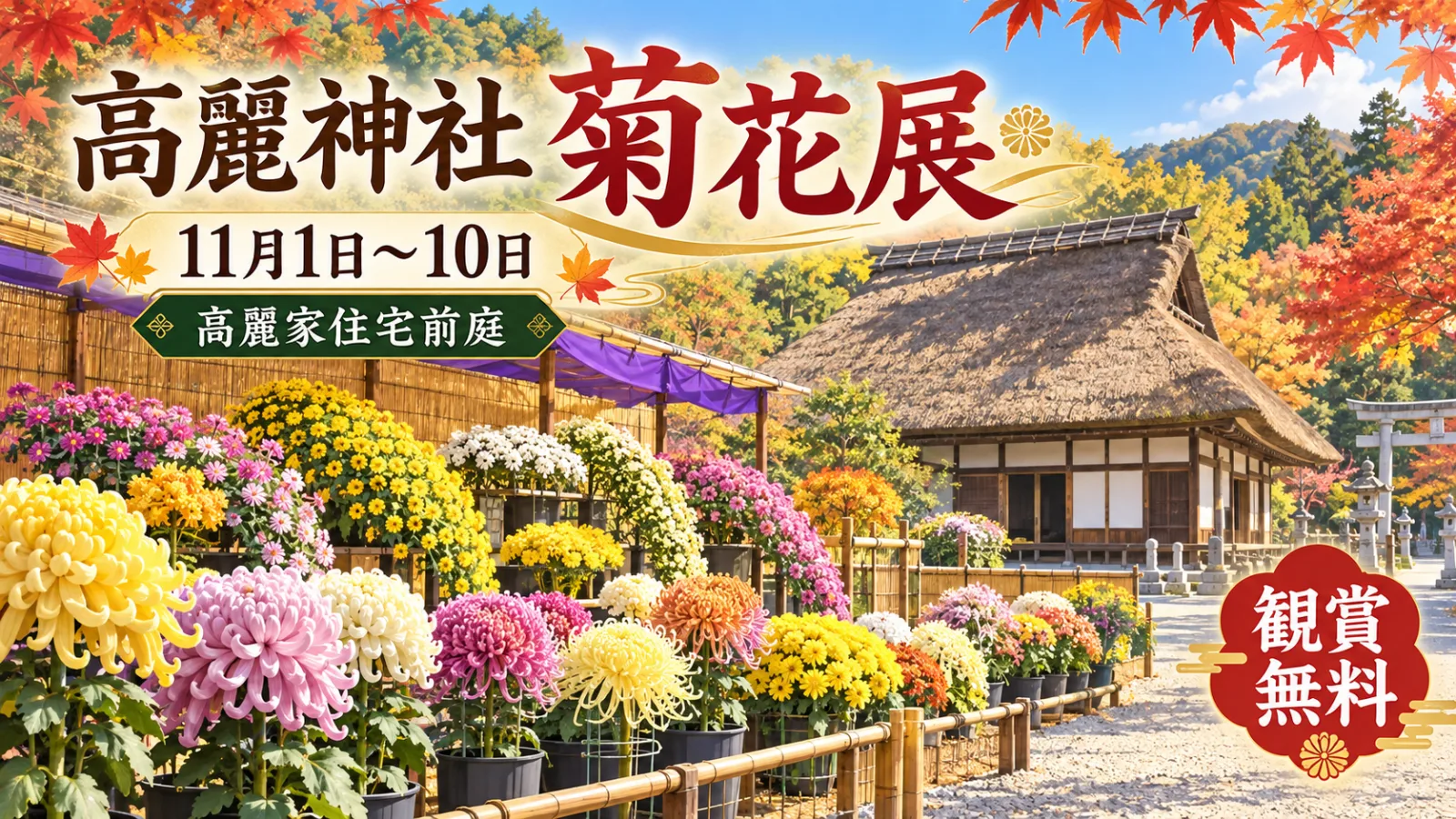 高麗神社「菊花展」2026｜11月1日〜10日開催！重要文化財を彩る菊を無料観賞 - 高麗駅の写真